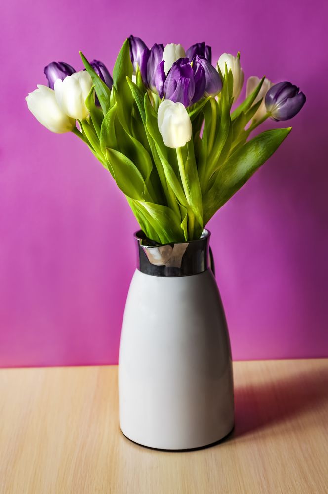 Фотография автора Oleg Podlesnykh