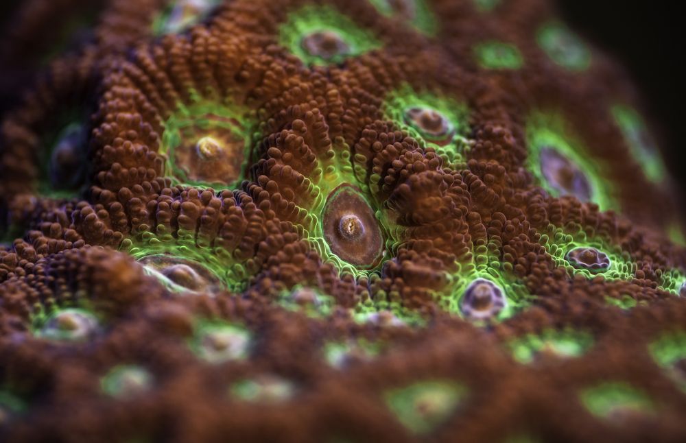 Photograph by Армен Майтесян