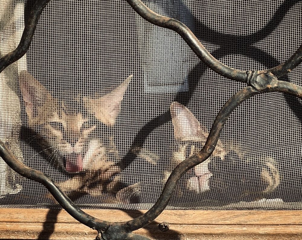 Photograph by Alena Kochergina