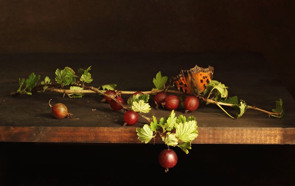 Фотография автора ТАТЬЯНА ЗАХАРОВА