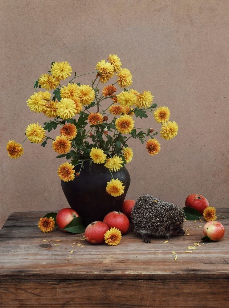 Photograph by Екатерина Долова