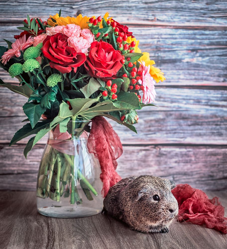 Photograph by Галина Нечипорук