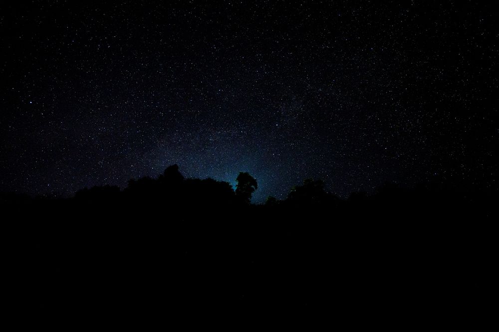 Photograph by Vineeth V V