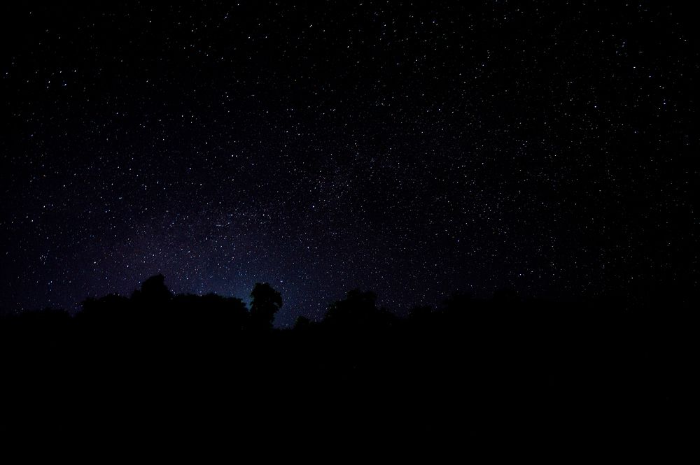 Photograph by Vineeth V V