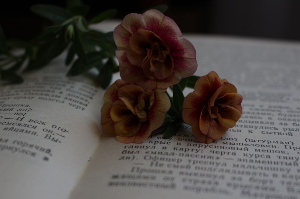 Photograph by Кристина Медведюк