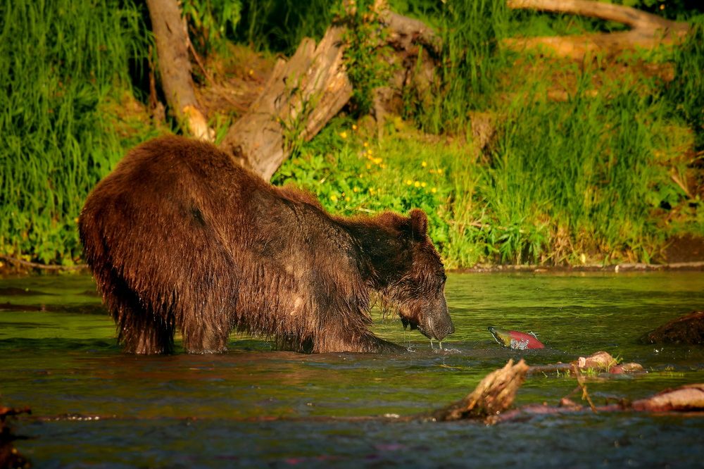 Три желания исполню!!!