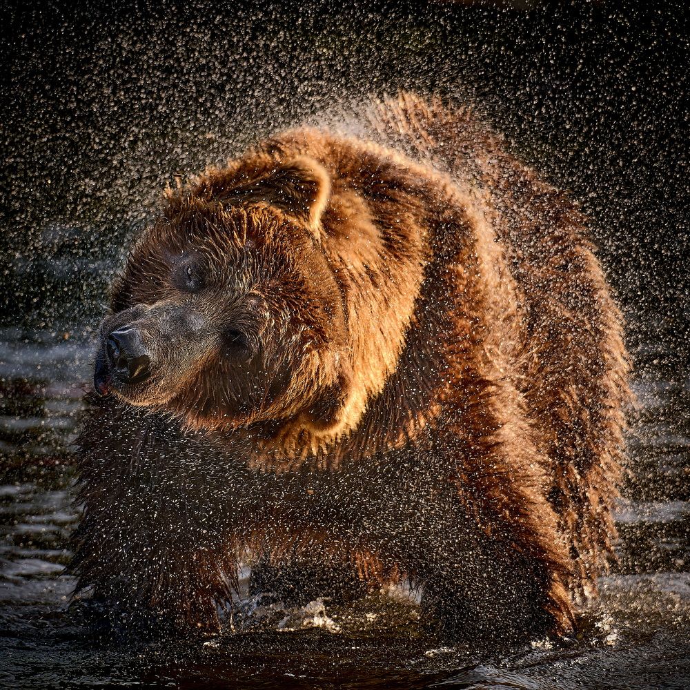 Надо беречь голову!