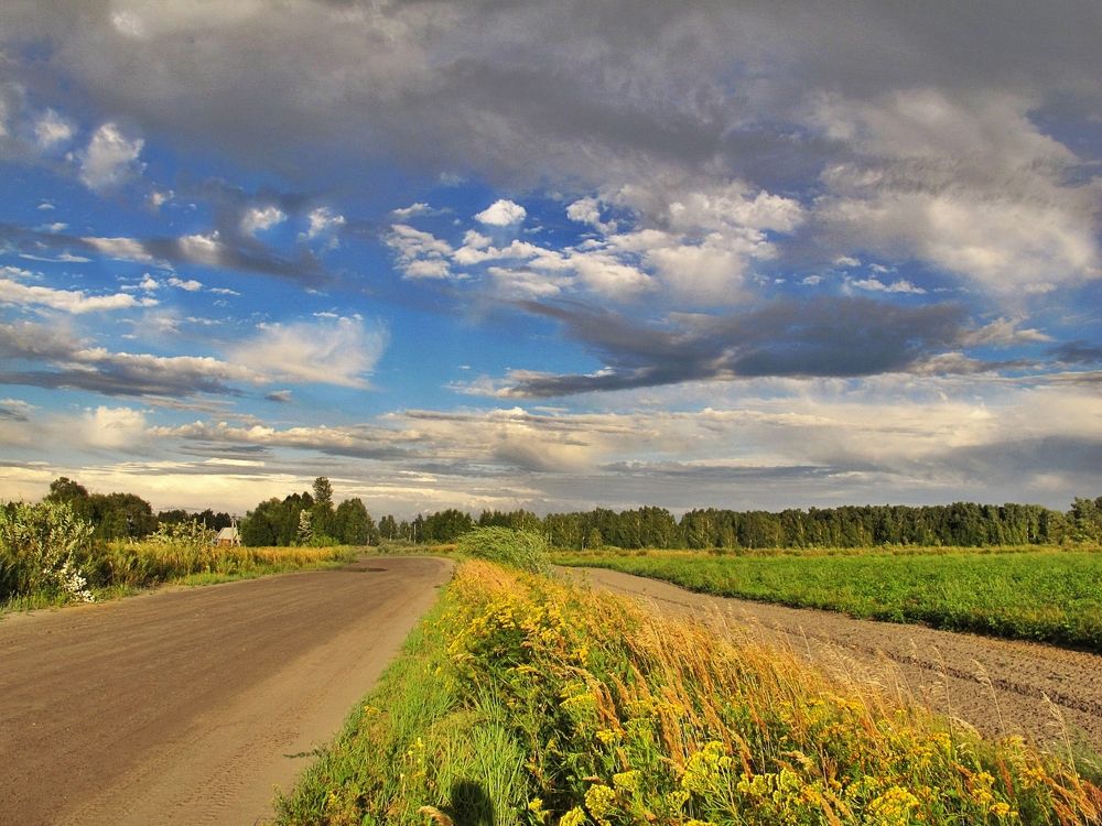 Летний зной