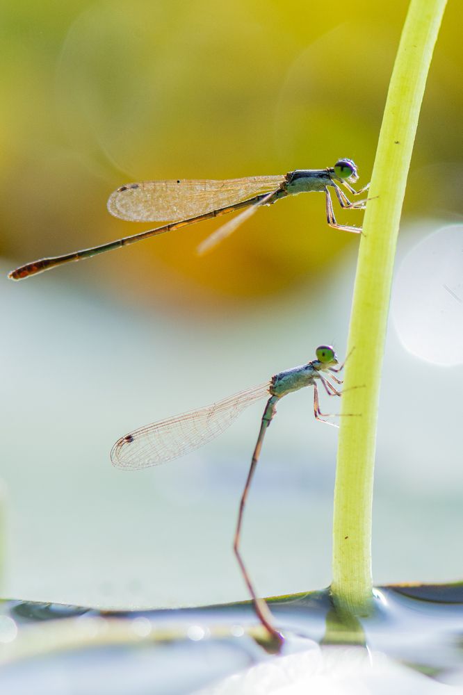Photograph by Thuvarakan Amirthalingam