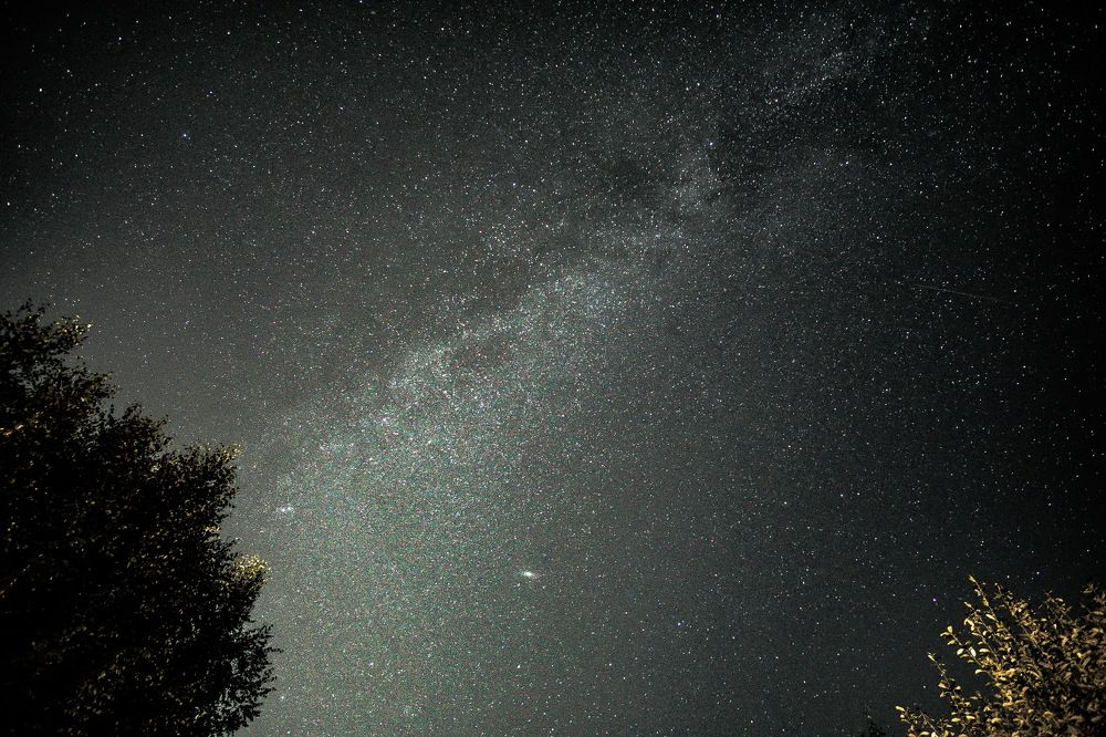 Photograph by Михаил Колосов