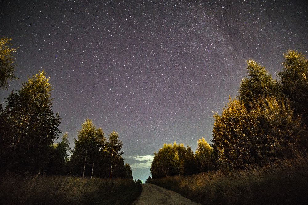 Photograph by Михаил Колосов