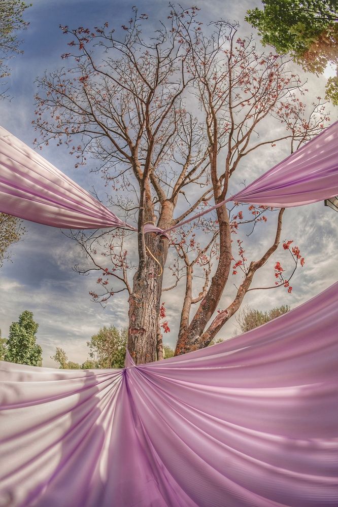 Photograph by Александр Кочергин