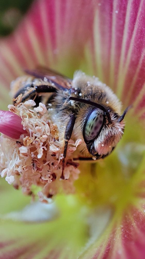 Photograph by Екатерина Ботникова