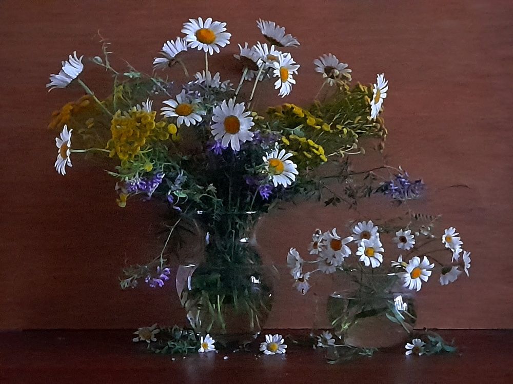 Букеты ромашек