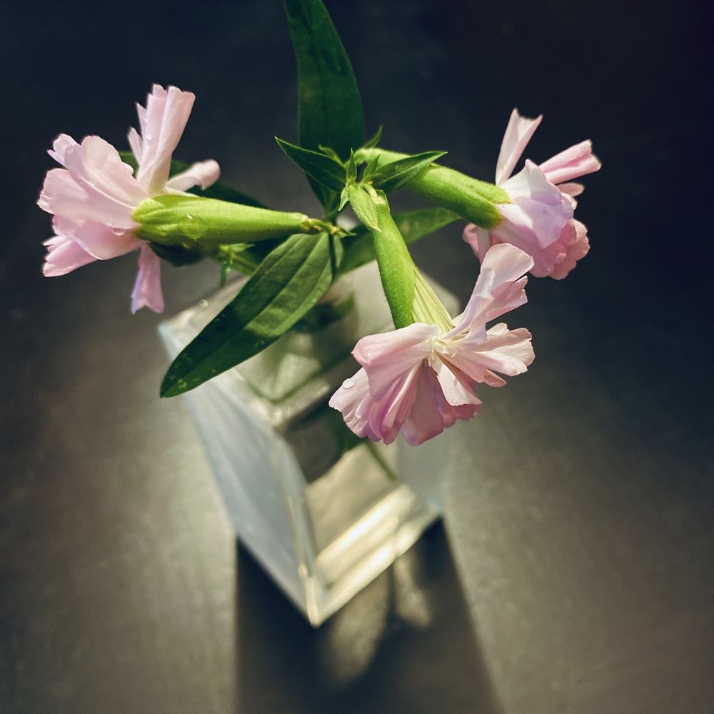 Photograph by Сергей Смирнов