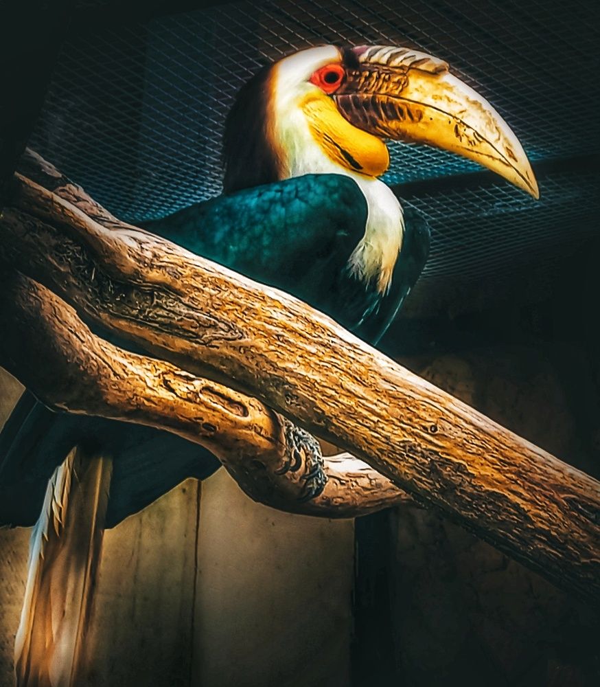 Photograph by Ольга Бородина