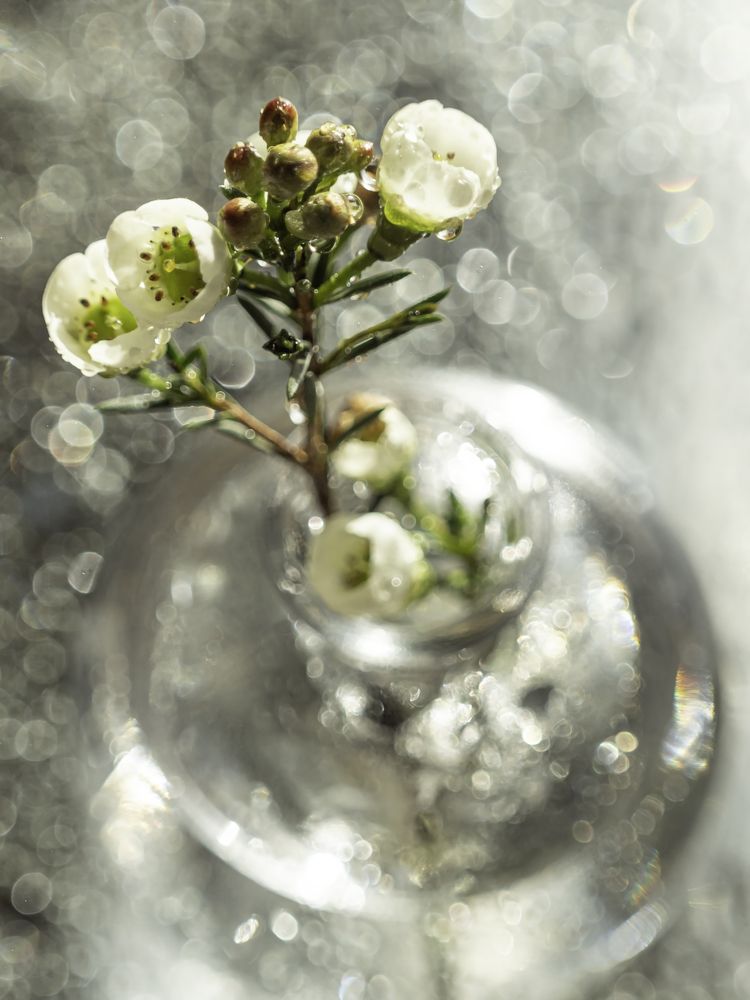 Photograph by Anna Ahiska