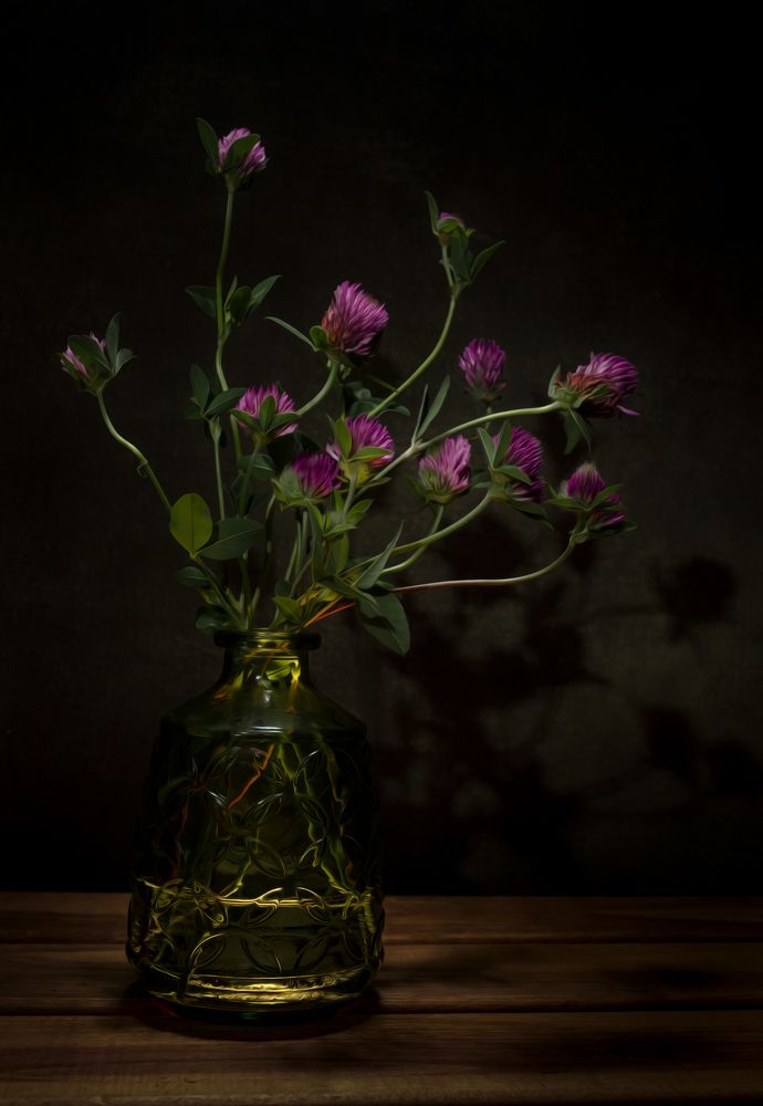 Photograph by Михаил Славный