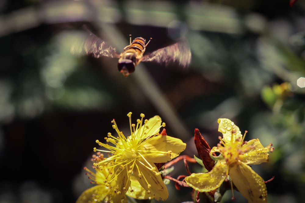 Photograph by Юлия Чиботарь