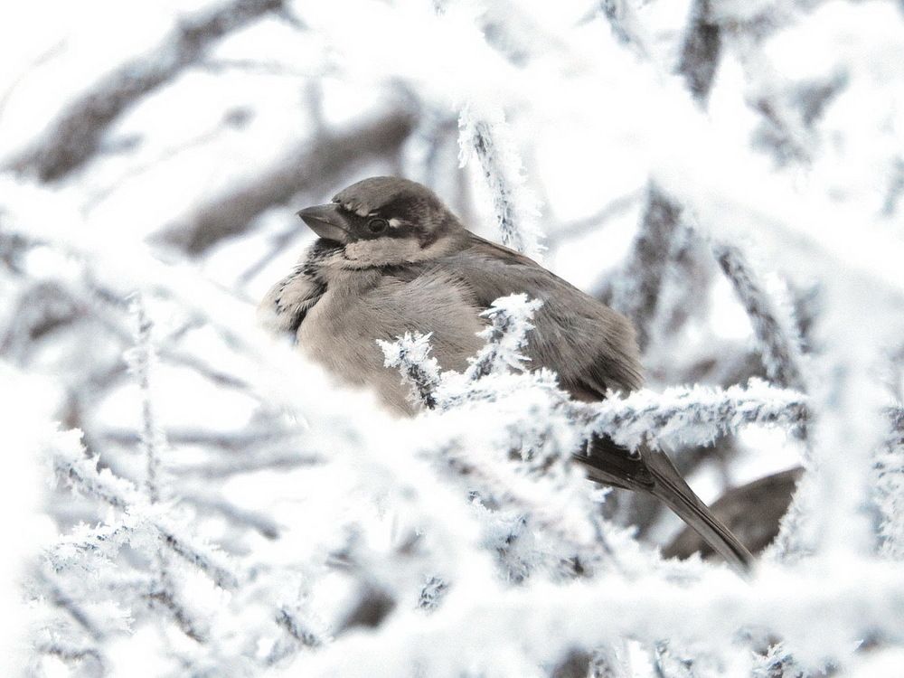 Photograph by Евгений Скляр