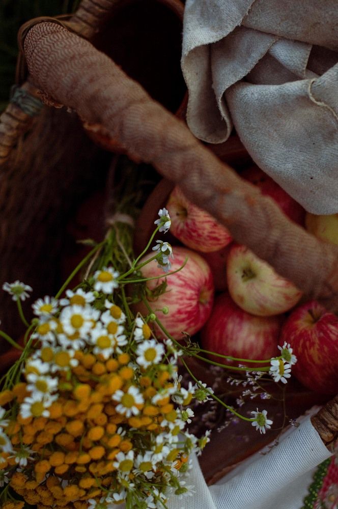 Photograph by Елена Квасова