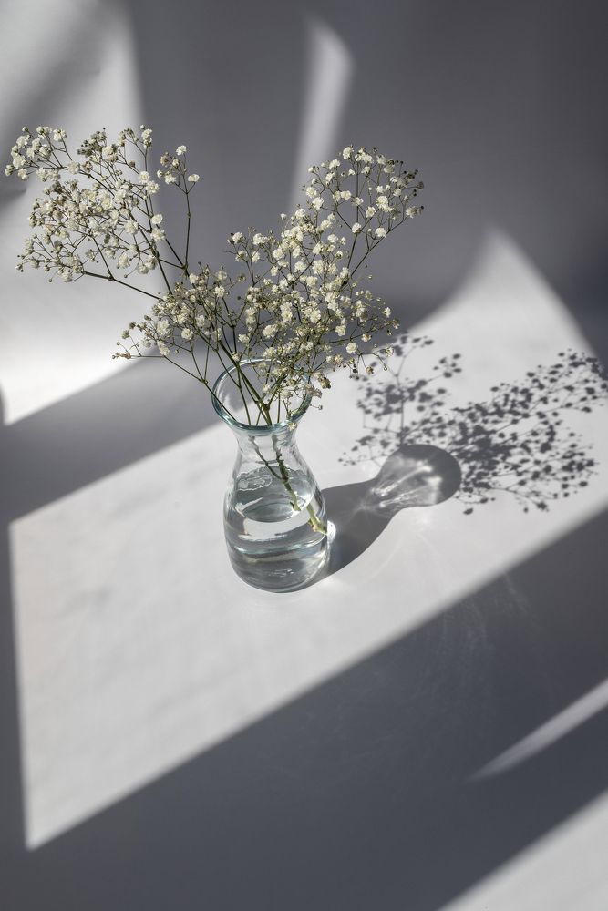 Photograph by Елена Володина