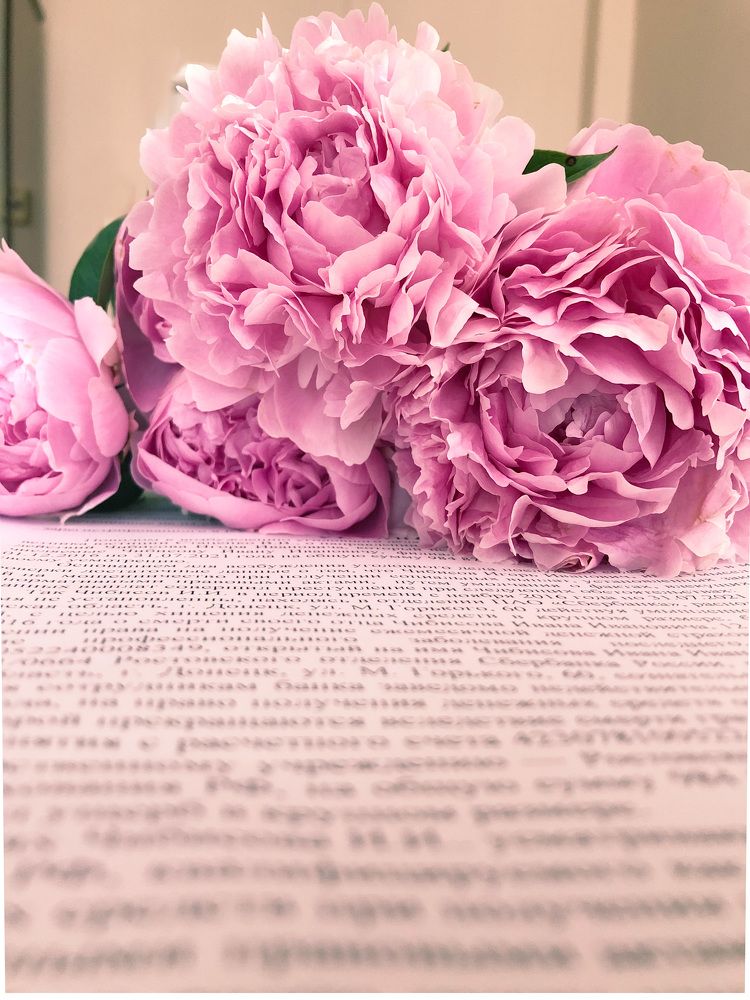 Photograph by Анастасия Волошина