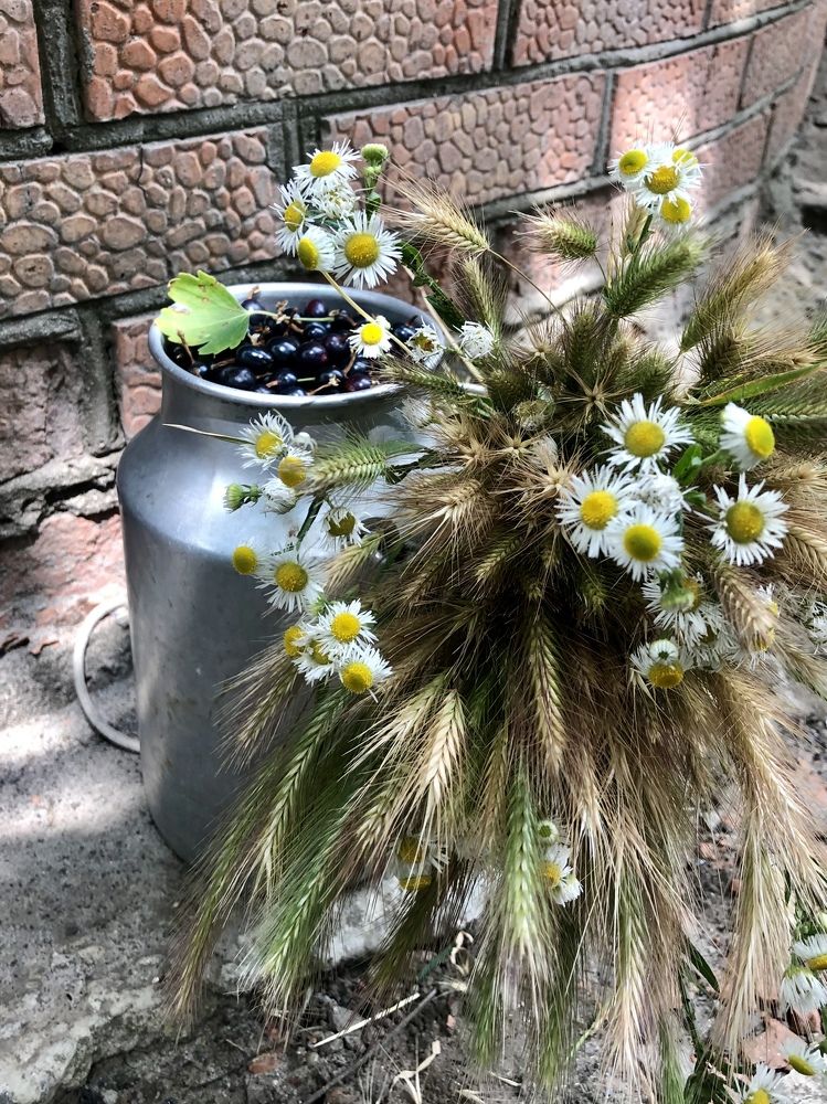 Photograph by Анастасия Волошина