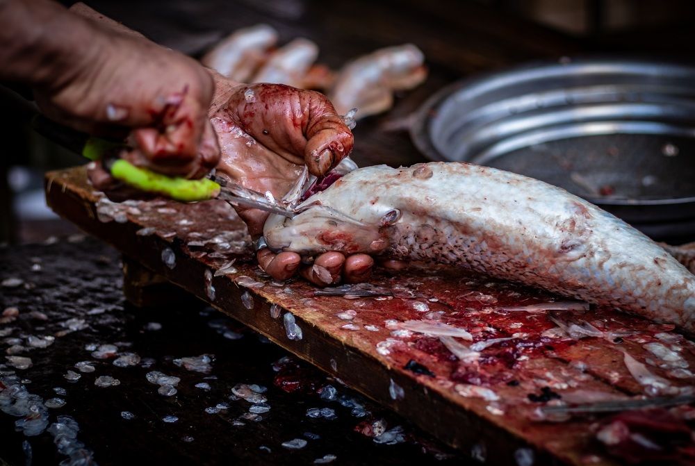 Photograph by Mostafa Mortazavi