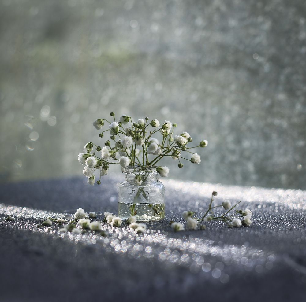 Photograph by Алена Полетаева