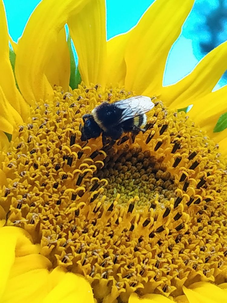 Photograph by Тимур Ушаков