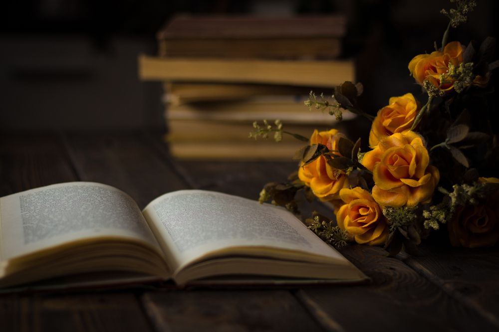 Photograph by Radoslav Bonev