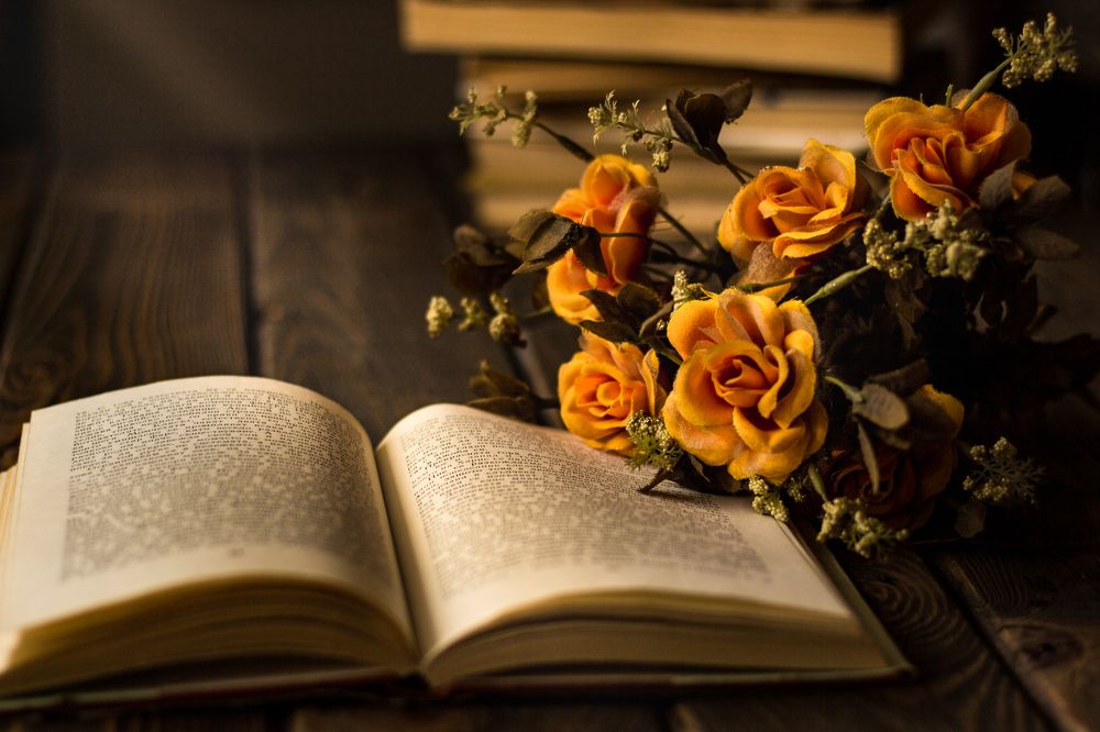 Photograph by Radoslav Bonev