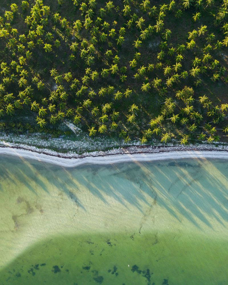 Photograph by Miguel Diaz