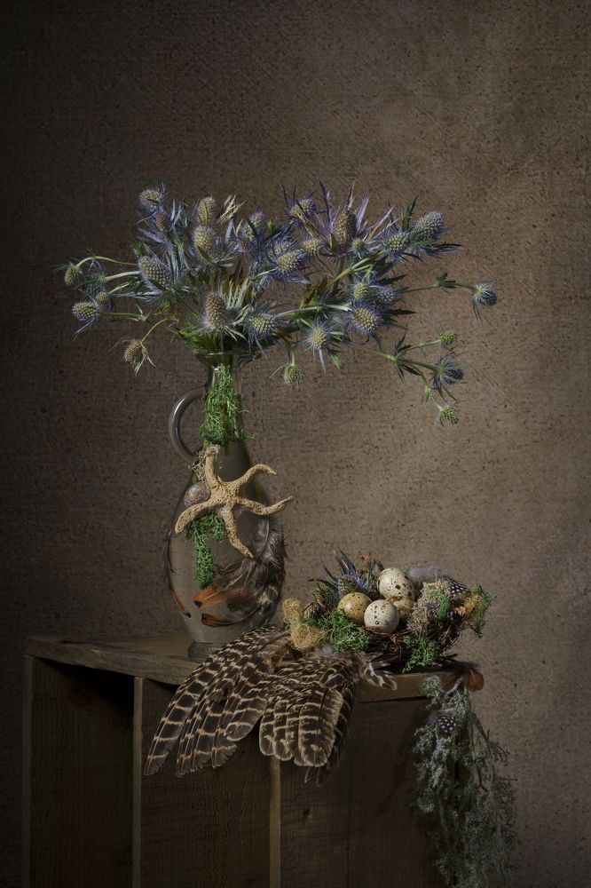 Photograph by Angi Wallace