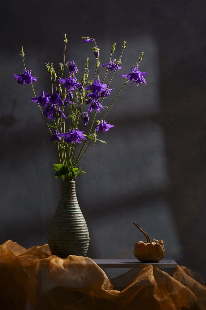 Photograph by Angi Wallace