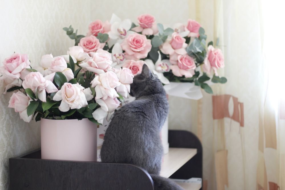 Photograph by Ramil Bakhriraziyev