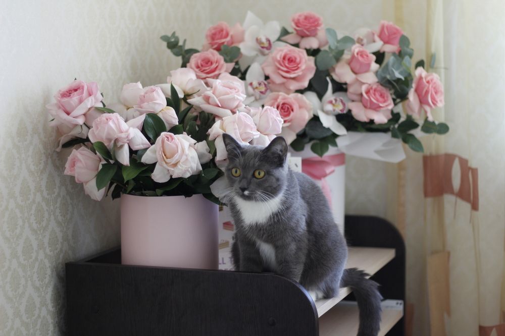 Photograph by Ramil Bakhriraziyev