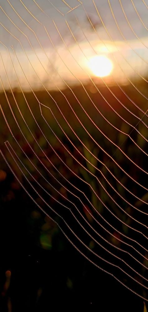 Photograph by Женя Евсеева