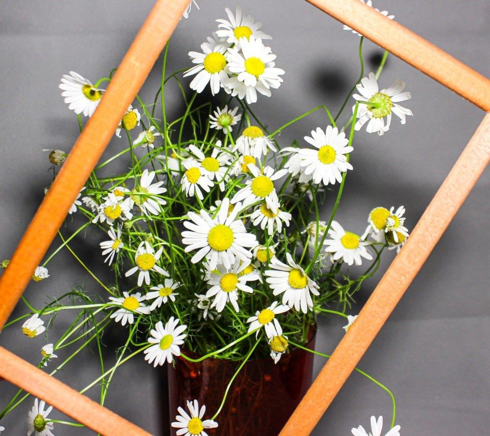 Photograph by Оксана Подъельская