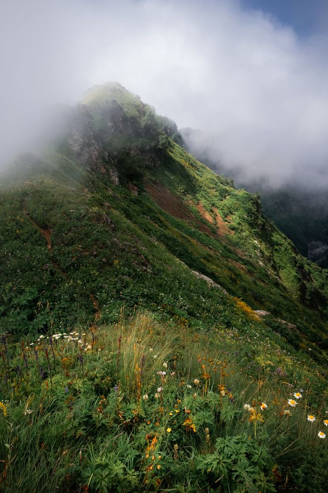 Photograph by Александр Битюков