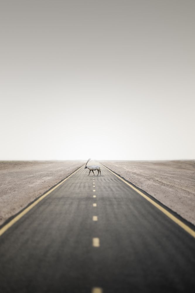 Photograph by Daniel Newton