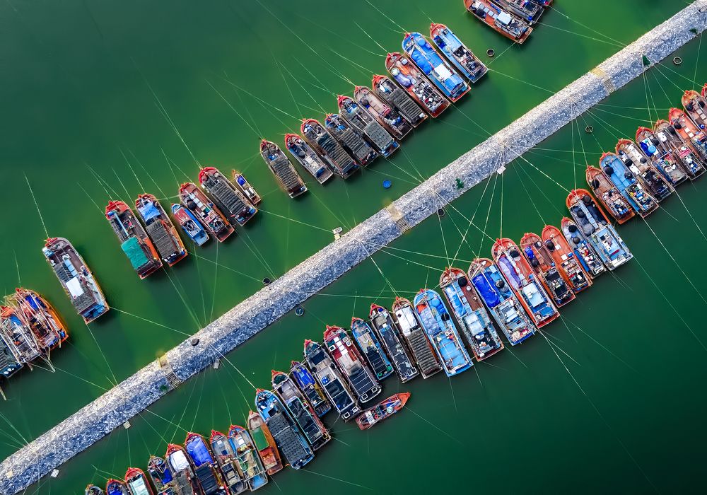 Photograph by NGUYEN HAI