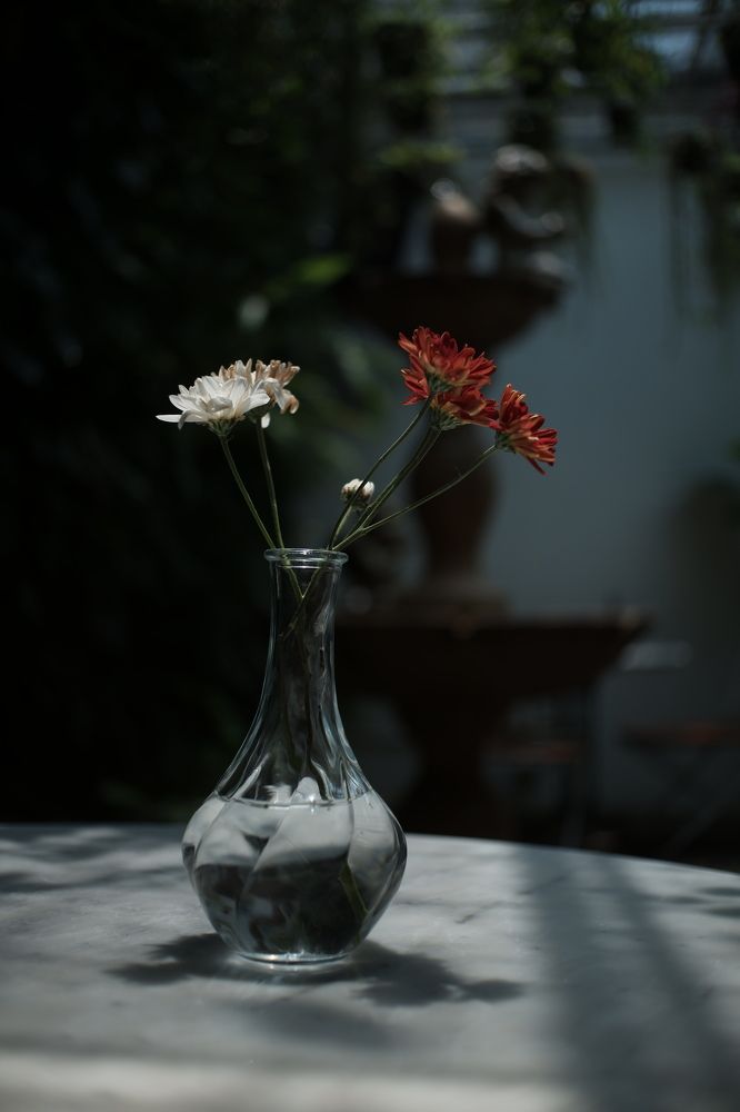 Фотография автора R. Zai