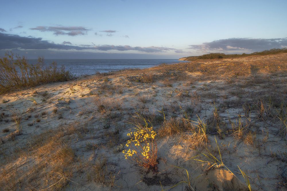 Photograph by Павел Дунюшкин