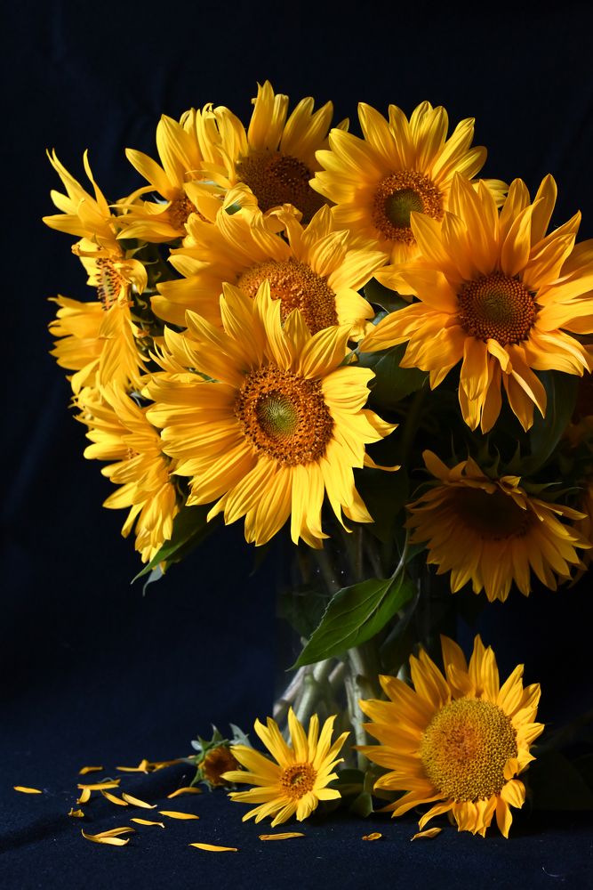 Photograph by Светлана Вербицкая