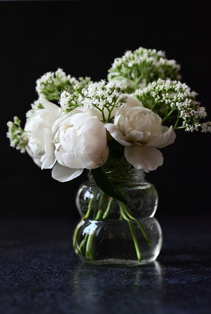 Photograph by Светлана Вербицкая