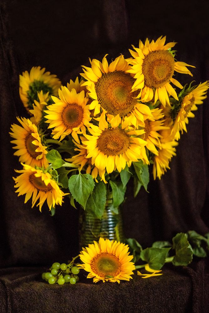 Photograph by Ирина Юрлова