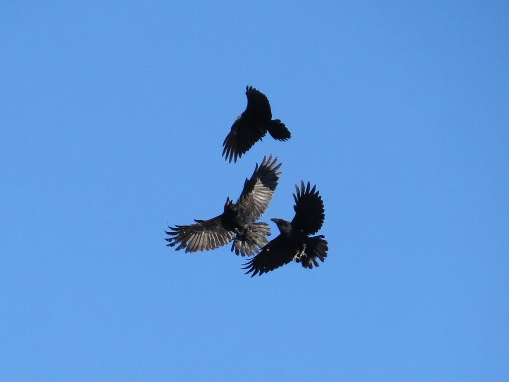 Photograph by Евгений Скляр