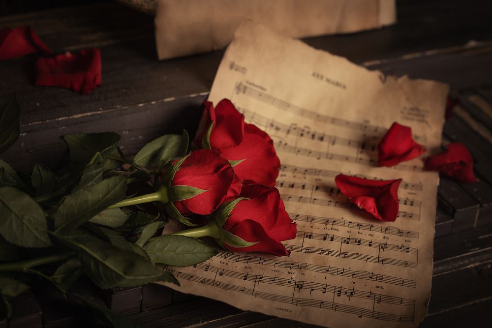 Photograph by Tania Kul